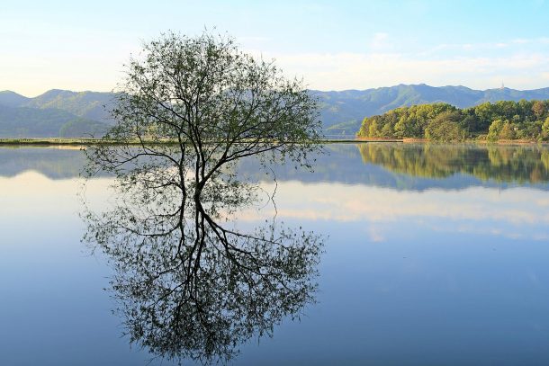 假初めに此の世に涯があるならば