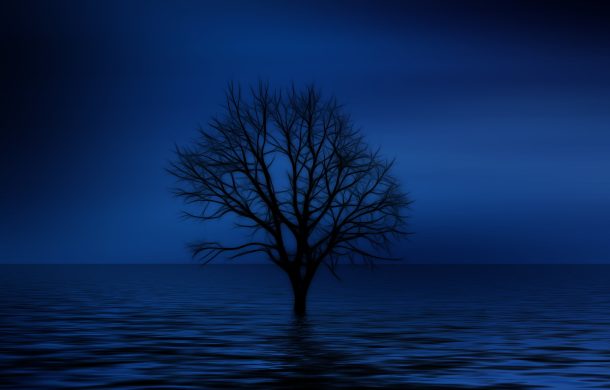 遺された作品内では坂本龍一